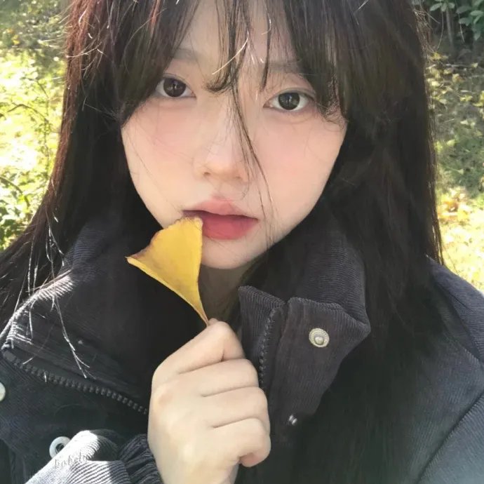 使徒行者2粤语